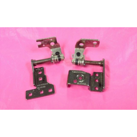 Acer Aspire 5830TG Hinges