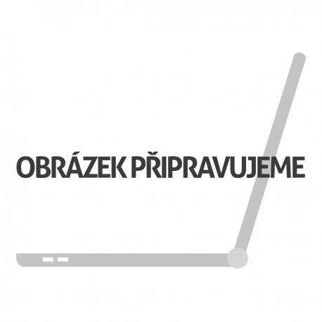 Asus G531GT Pánty