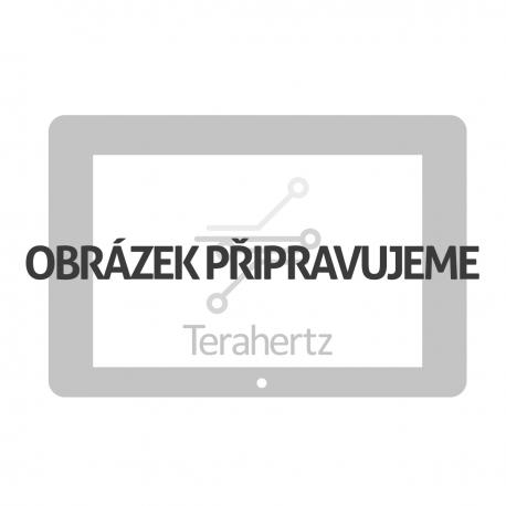 Apple iPad Mini 2 A1490 Displej